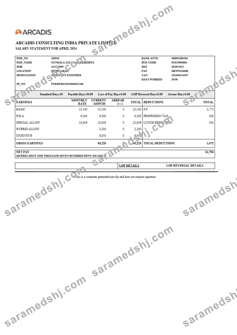 Arcadis Consulting India salary statement template in Word and PDF formats.pdf, 1